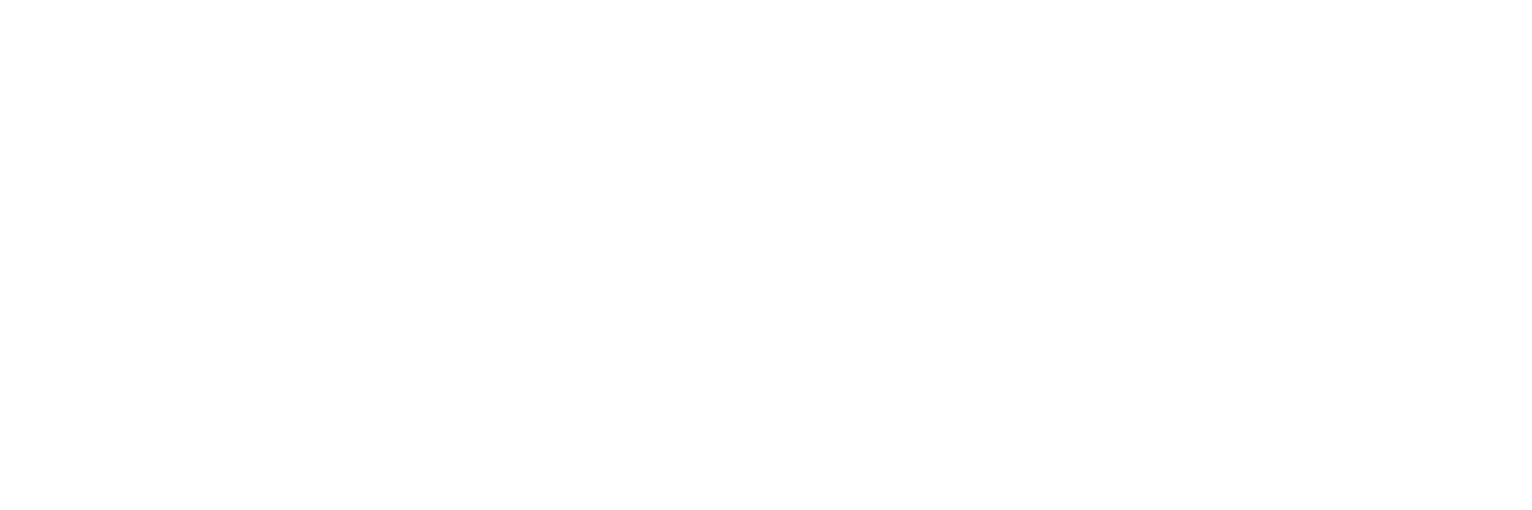 SetScale